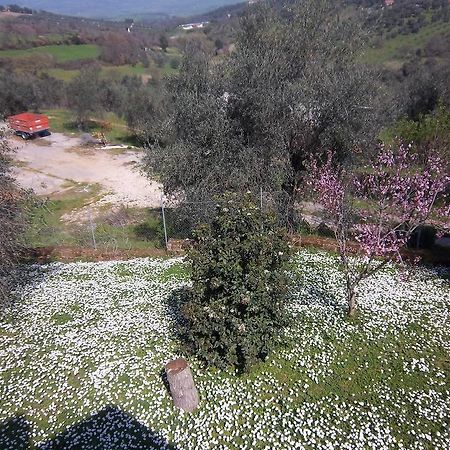 Agriturismo Norianino Montemerano Kültér fotó