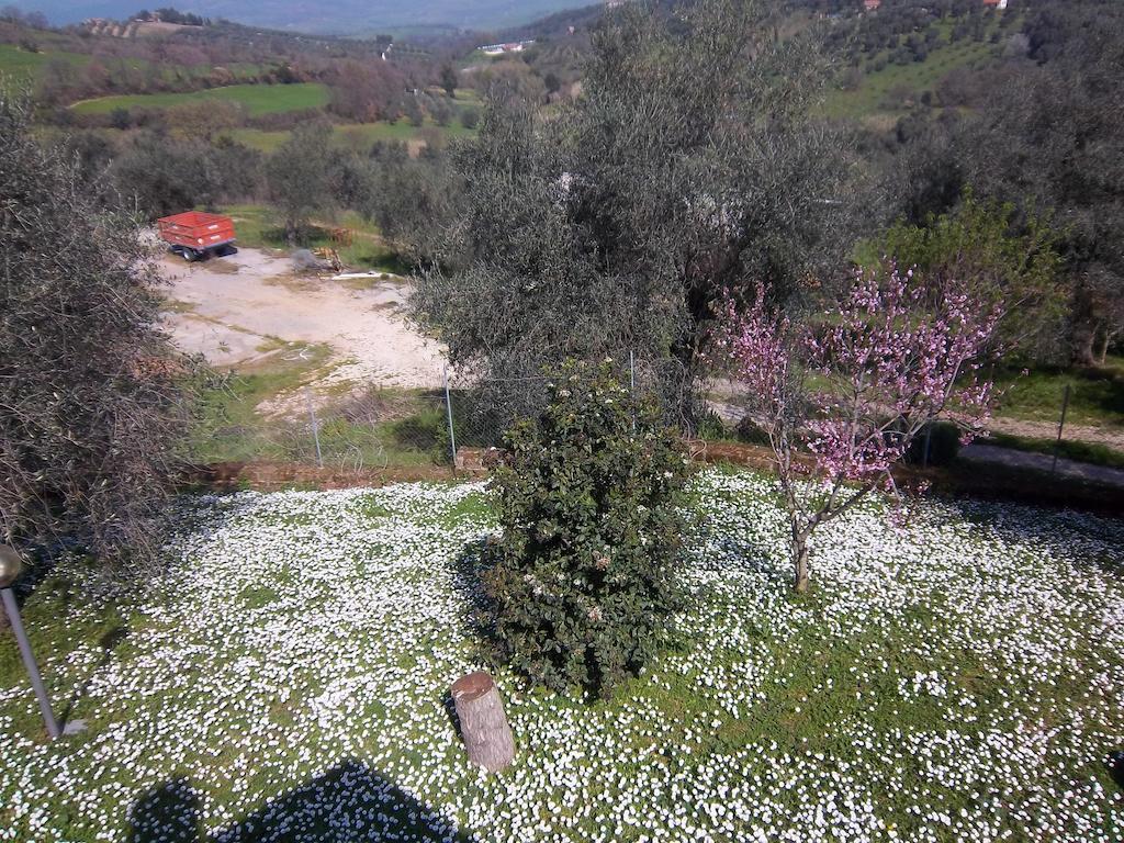 Agriturismo Norianino Montemerano Kültér fotó