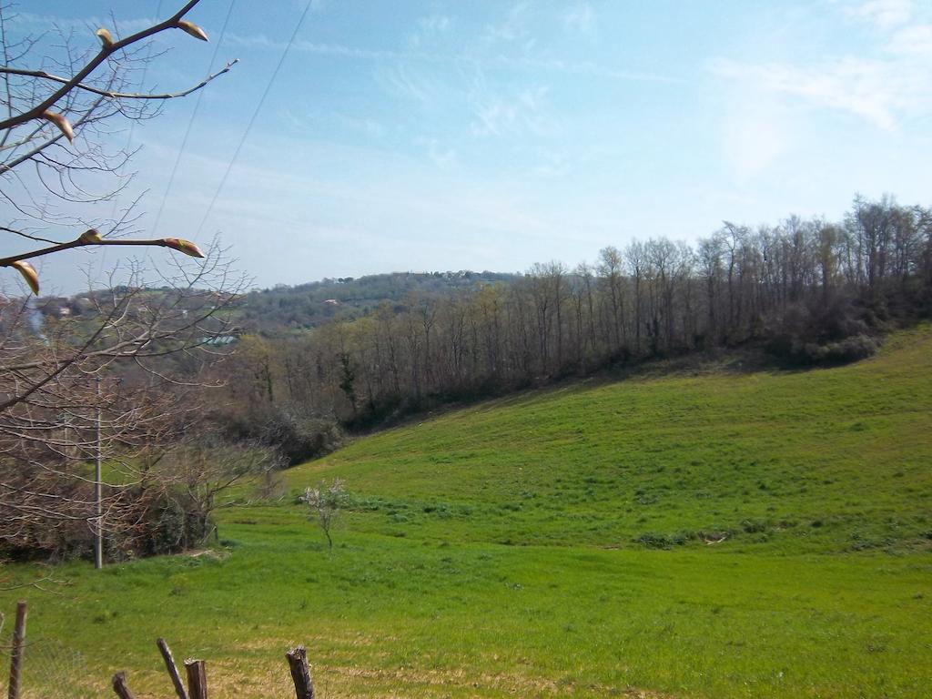 Agriturismo Norianino Montemerano Kültér fotó