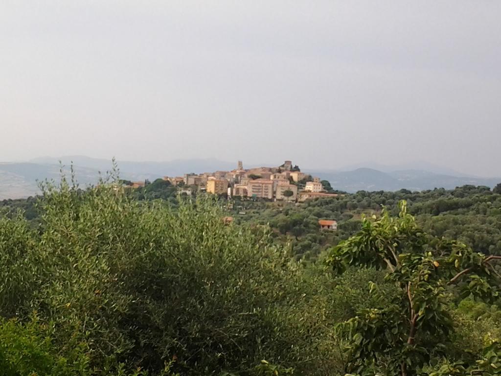 Agriturismo Norianino Montemerano Kültér fotó