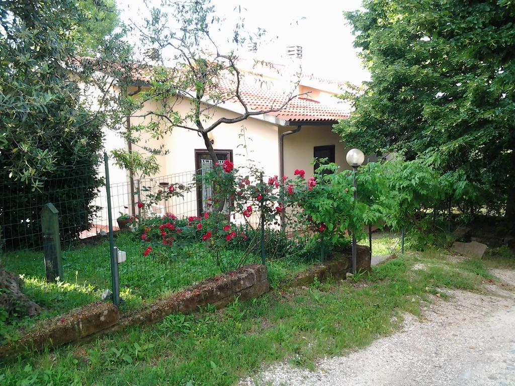 Agriturismo Norianino Montemerano Kültér fotó